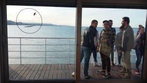 Il secondo dei due quadri esposti